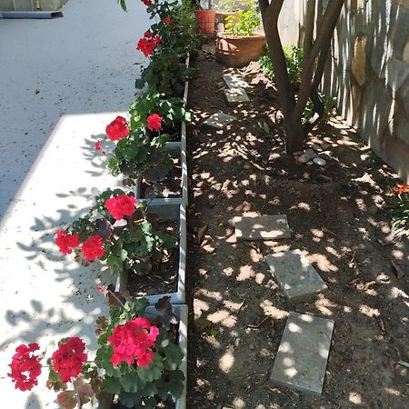 Strati'S Place PalaiónTsiflíkion المظهر الخارجي الصورة
