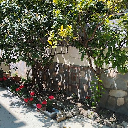 Strati'S Place PalaiónTsiflíkion المظهر الخارجي الصورة
